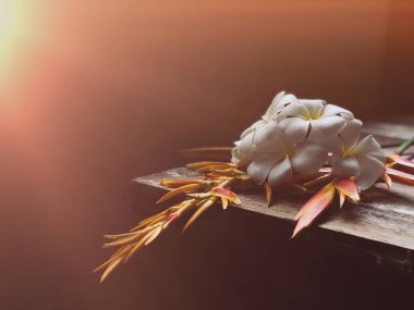 Boş eski ahşap masada Güzel Heliconia çiçekleri ve Beyaz Plumeria çiçek