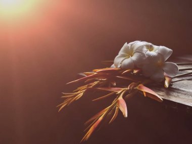 Boş eski ahşap masada Güzel Heliconia çiçekleri ve Beyaz Plumeria çiçek