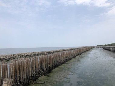güneşli bir günde denizde antierozyon koruyucu bambu duvar pitoresk görünümü 
