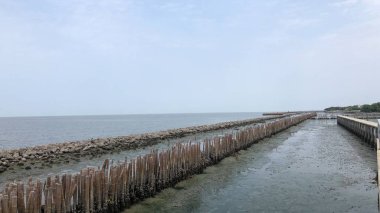güneşli bir günde denizde antierozyon koruyucu bambu duvar pitoresk görünümü 