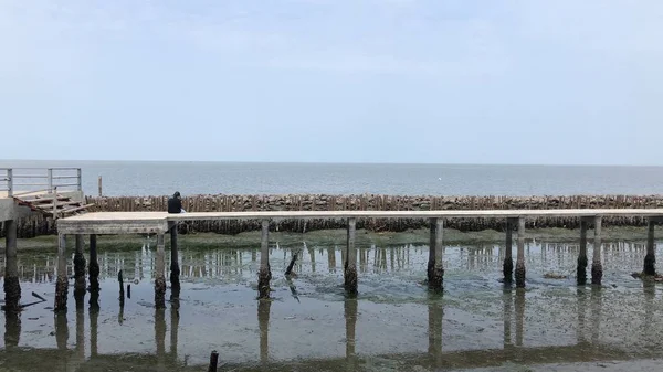 Vue Pittoresque Sur Mur Bambou Protecteur Érosion Mer Par Temps — Photo