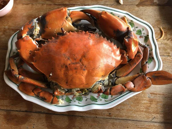 Prepared Tasty Boiled Crab White Plate Close — Stock Photo, Image