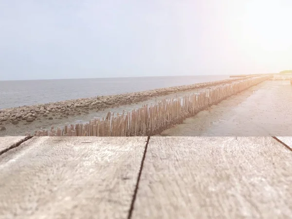 Billedlig Syn Erosjonsbeskyttende Bambusvegg Havet Solskinnsdag – stockfoto