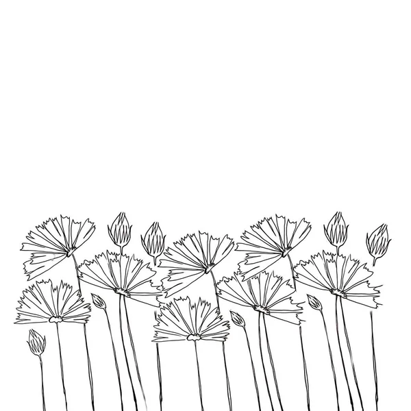 Blumen Illustration Concept Drawing Schöne Blumen Strauß Auf Über Weißem — Stockfoto