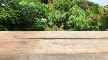 yeşil bitkiler arka plan üzerinde ahşap masa yüzeyi 