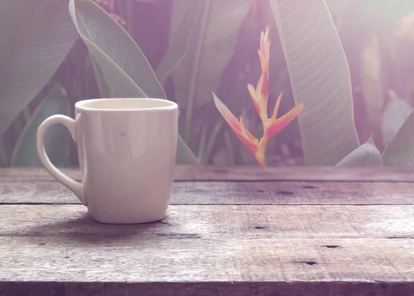 Fermer Tasse Sur Une Table Bois — Photo