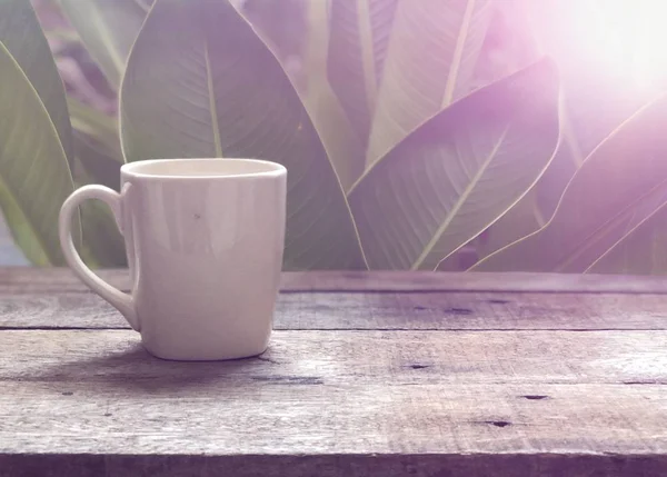 Fermer Tasse Sur Une Table Bois — Photo