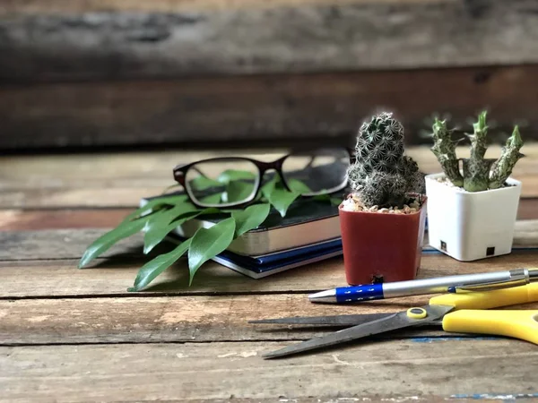 Menutup Daun Tanaman Pada Notebook Kacamata Dan Kaktus Atas Meja — Stok Foto