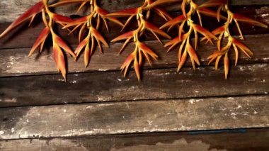 Güzel Heliconia çiçekleri eski ahşap bir buket, mercek alevi, metin tasarımınız için yer var. Kırsal yaşam ve karanlık ton, loş ışık, seçici odaklanma..
