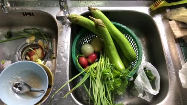 食欲をそそる新鮮な野菜 カファーライムライムの葉 コリアンダー レモン ブロッコリー レモングラス ニンジン 朝の光 準備健康食品で 田舎の台所でシンク水で — ストック動画