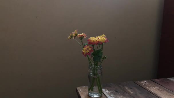 Close Πολύχρωμα Λουλούδια Στο Βάζο Ξύλινο Τραπέζι — Αρχείο Βίντεο