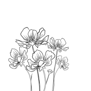 Güzel gül buketi çiçekleri ve yeşil yapraklar beyaz arka planda büyür, el çizimi, düz tasarımlı resimlerle yaratıcı. Çiçek deseni, duvar kağıdı için dekoratif serisi. Sevgililer Günü konsepti.