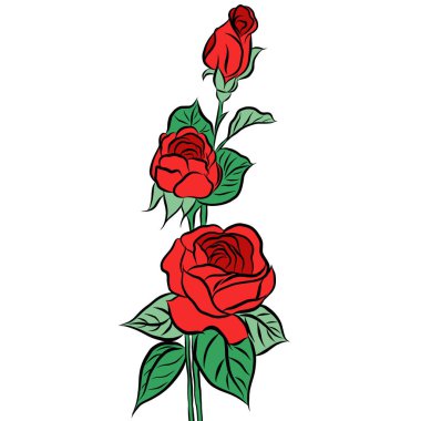 Güzel gül buketi çiçekleri ve yeşil yapraklar beyaz arka planda büyür, el çizimi, düz tasarımlı resimlerle yaratıcı. Çiçek deseni, duvar kağıdı için dekoratif serisi. Sevgililer Günü konsepti.