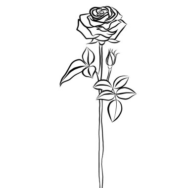 Güzel gül buketi çiçekleri ve yeşil yapraklar beyaz arka planda büyür, el çizimi, düz tasarımlı resimlerle yaratıcı. Çiçek deseni, duvar kağıdı için dekoratif serisi. Sevgililer Günü konsepti.