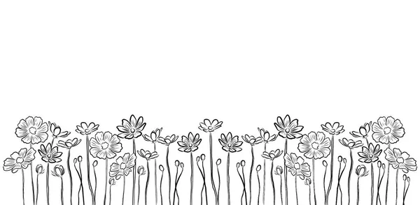 Красиві Квіти Троянд Зелене Листя Ростуть Білому Тлі Намальовані Вручну — стокове фото