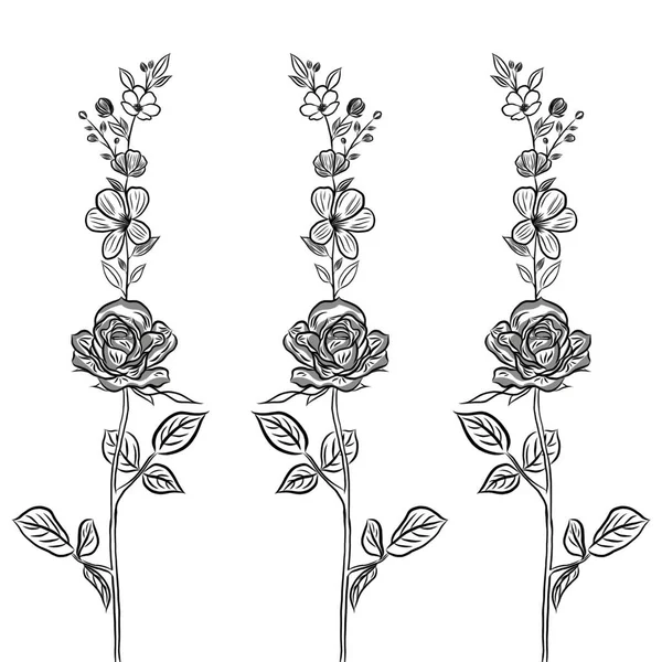 Bella Rosa Fiori Bouquet Foglie Verdi Crescita Sfondo Bianco Disegnato — Foto Stock