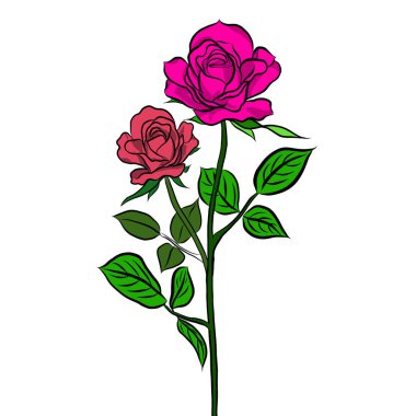 Çizgi çizilmiş, beyaz arka planda güzel gül buketi çiçekleri, düz dizaynlı resimlerle birlikte yaratıcı. Çiçek desenli, duvar kağıtları için dekoratif seriler. Sevgililer Günü konsepti.