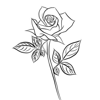 Çizgi çizilmiş, beyaz arka planda güzel gül buketi çiçekleri, düz dizaynlı resimlerle birlikte yaratıcı. Çiçek desenli, duvar kağıtları için dekoratif seriler. Sevgililer Günü konsepti.