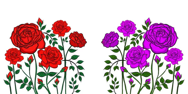 Rysowana Linia Piękne Kwiaty Bukiet Róż Białym Tle Kreatywne Ilustracją — Zdjęcie stockowe