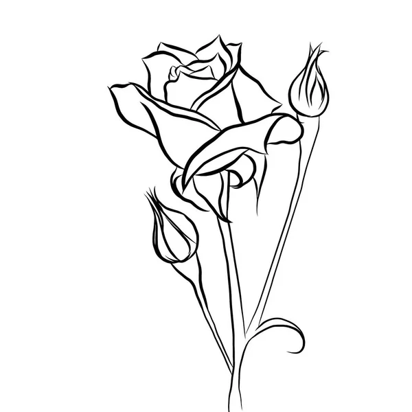 线条勾画 白色背景的美丽玫瑰花束 图案平整 富有创意 壁纸装饰系列 情人节的概念 — 图库照片
