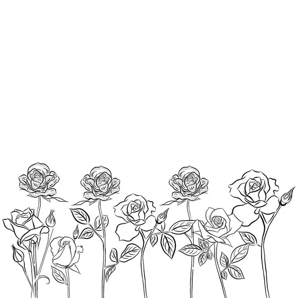 Line Drawn Beautiful Rose Bouquet Flowers White Background Creative Illustration — Stock Photo, Image