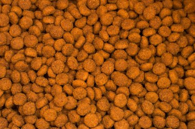 Evde beslenen hayvan kibbles yakın çekim. Kuru köpek ve kedi yiyecek