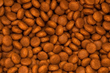 Evde beslenen hayvan kibbles yakın çekim. Kuru köpek ve kedi yiyecek