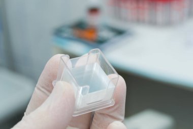 mikroskobik kirpikleri ile plastik bir kutu elinde tutan laboratuar işçisi