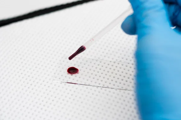 El veterinario está preparando un frotis de sangre — Foto de Stock