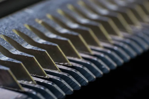 bir kesme bıçağı, Oster bıçak aşırı makro fotoğraf