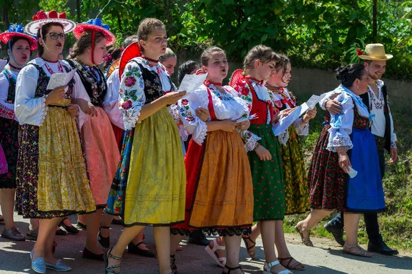 Batin Cluj Romania 2019 Festa Tradizionale Impanatul Boului Instrutatul Boului — Foto Stock