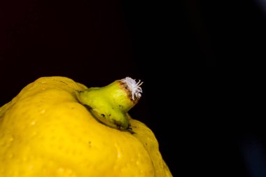 limon kabuğu yakın çekim ve siyah arka plan