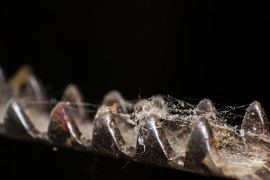 yüzeyde örümcek ağı ile eski mısır bombardıman aracı