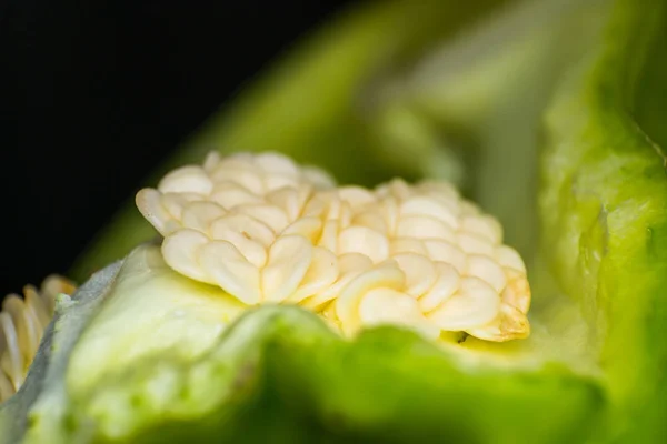 Makro foto av grön paprika frön — Stockfoto