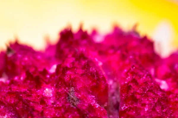 Macro photo of a peach stone abstract — Stock Photo, Image