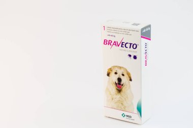 Cluj-Napoca / Romanya-10 24 2019: Bravecto Chewable Tick & Flea Ta