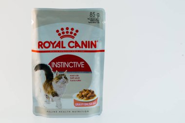 Cluj-Napoca / Romanya-10 24 2019: Kediler için kraliyet kanini içgüdüsü