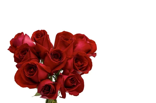 Σχήμα Αγάπη Φρέσκο Άνθιση Των Κόκκινων Τριαντάφυλλων Που Ζευγάρι Ήθελε — Φωτογραφία Αρχείου