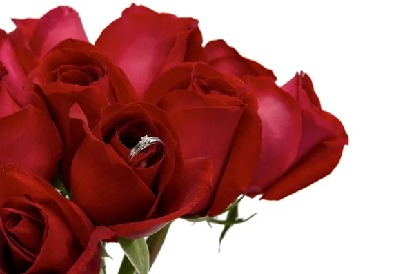 Fleurs Fraîches Roses Rouges Qui Ont Bague Argent Avec Diamant — Photo