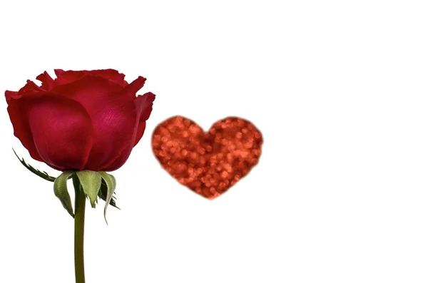 Ένα Ενιαίο Κόκκινο Τριαντάφυλλο Κόκκινο Χρώμα Bokeh Σχήμα Καρδιάς Αγάπη — Φωτογραφία Αρχείου
