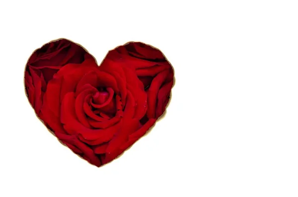 Couleur Rouge Coeur Amour Forme Qui Ont Des Roses Couleur — Photo