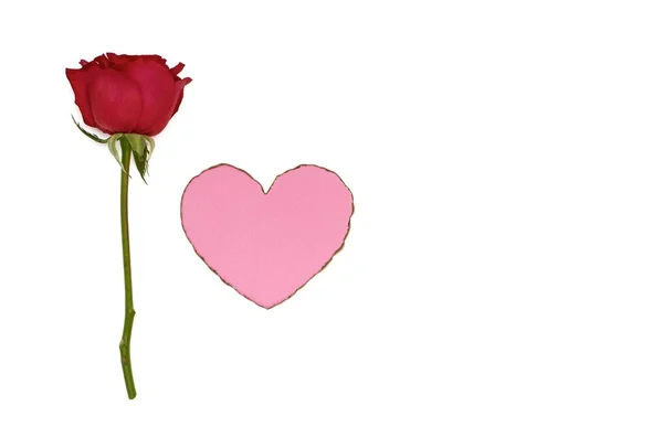 Ένα Φρέσκο Κόκκινο Τριαντάφυλλο Και Ροζ Χρώμα Αγάπη Σχήμα Που — Φωτογραφία Αρχείου