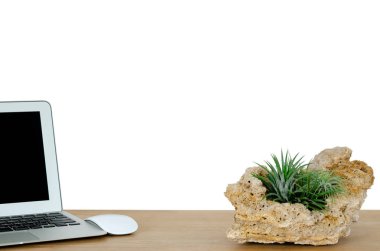 Modern tillandsia airplant bitki bulduğu beyaz arka plan üzerinde kesme yumuşak taş koymak kadar su içinde yazıhane dizüstü bilgisayar ve beyaz fare ile ahşap masa süsleyen gerek yok.