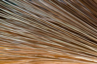 Pennisetum çimen çiçek arka plan ve doku kuru kaynaklanıyor.