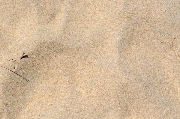 Background and texture photo of sand on the beach. — Stock Photo, Image