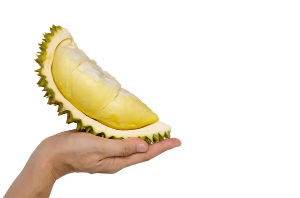 Hand met vers gesneden Durian geïsoleerd op witte achtergrond. — Stockfoto