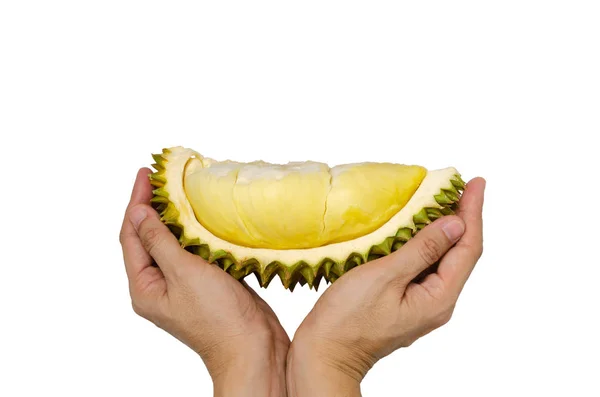 Handen met vers gesneden Durian geïsoleerd op witte achtergrond. — Stockfoto