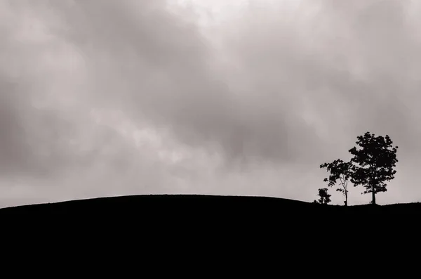 Group Trees Left Mountain Dark Cloud — Stock Photo, Image