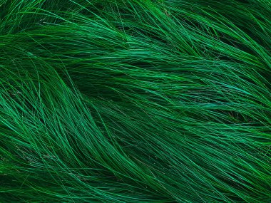 Arkaplan ve desenli yeşil Çimenler rüzgardan esiyor.