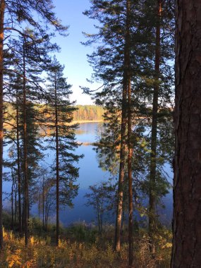 Karelya pines üzerinde göl Saimaa